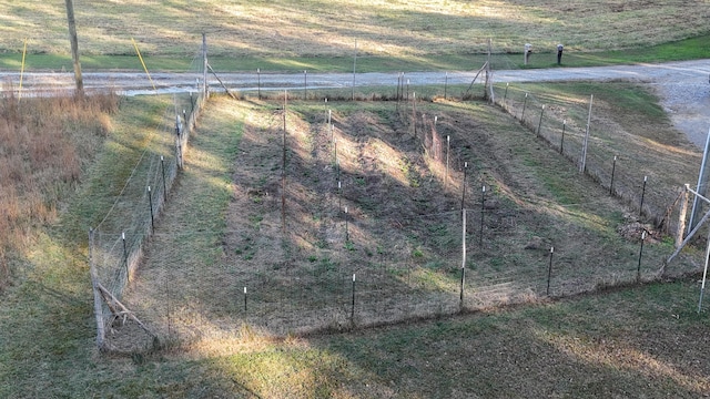 view of yard featuring a rural view