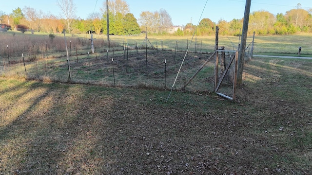 view of yard with a rural view