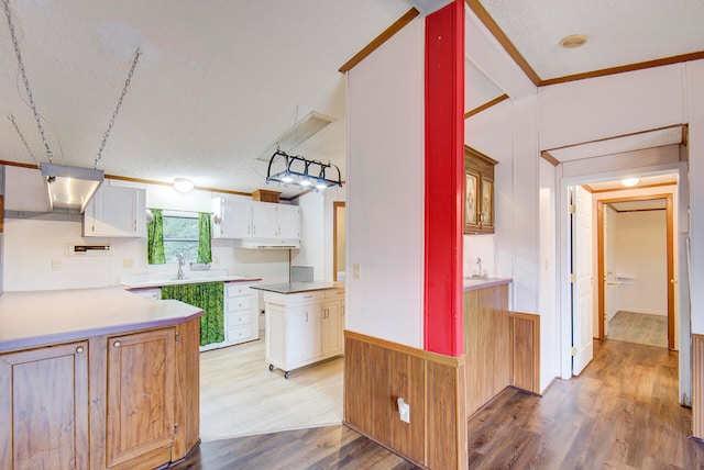 kitchen featuring white cabinets, ventilation hood, a textured ceiling, and light wood-type flooring