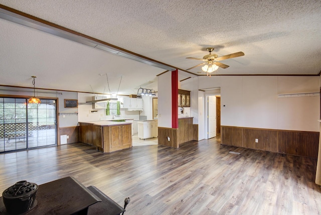 134 Old Spring Rd, Rising Fawn, GA 30738 - unfurnished living room with a textured ceiling, wainscoting, dark wood-type flooring, a ceiling fan, and wood walls