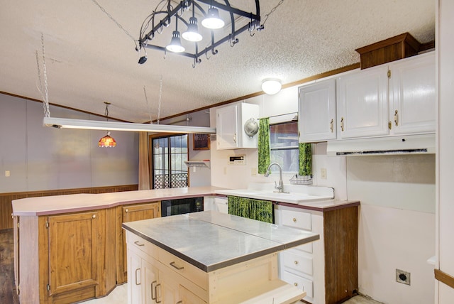 134 Old Spring Rd, Rising Fawn, GA 30738 - kitchen featuring a peninsula, a textured ceiling, crown molding, plenty of natural light, and pendant lighting