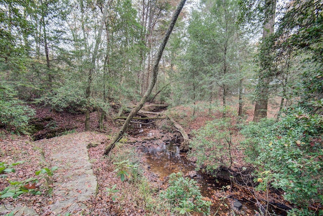 view of local wilderness