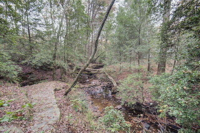 134 Old Spring Rd, Rising Fawn, GA 30738 - view of wooded area