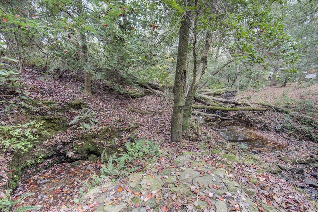 134 Old Spring Rd, Rising Fawn, GA 30738 - view of woods