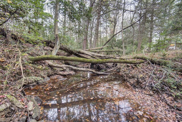 134 Old Spring Rd, Rising Fawn, GA 30738 - view of nature