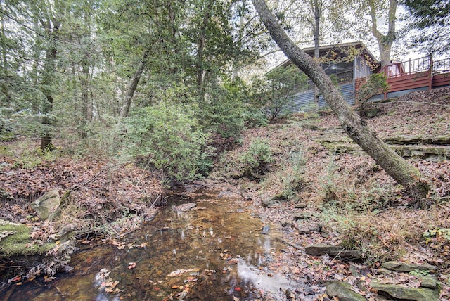 134 Old Spring Rd, Rising Fawn, GA 30738 - view of nature