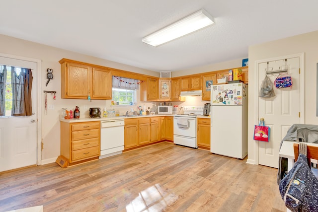 kitchen with sink, light wood-type flooring, and white appliances