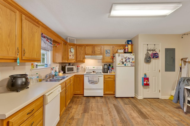 kitchen with white appliances, sink, light wood-type flooring, a textured ceiling, and electric panel