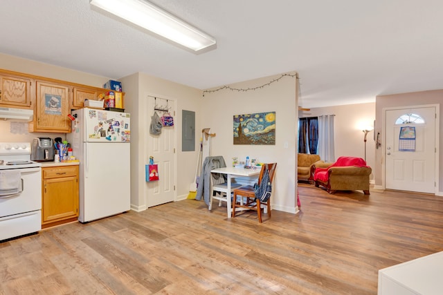 kitchen featuring electric panel, light hardwood / wood-style flooring, and white appliances