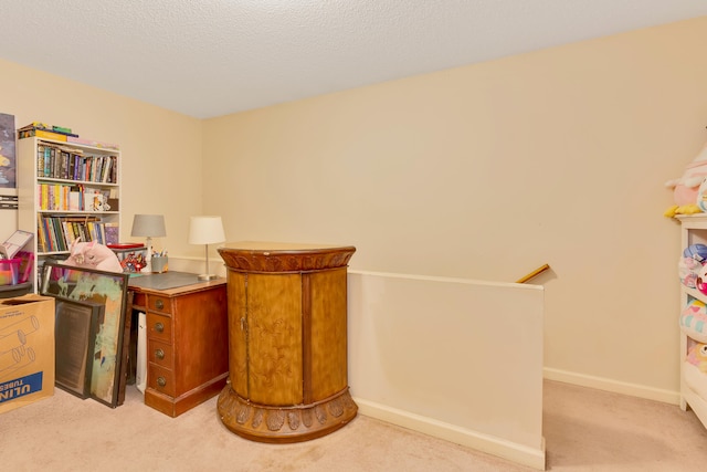 office featuring a textured ceiling and light colored carpet