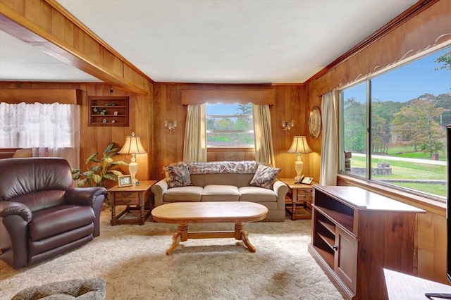 living room with plenty of natural light and wood walls