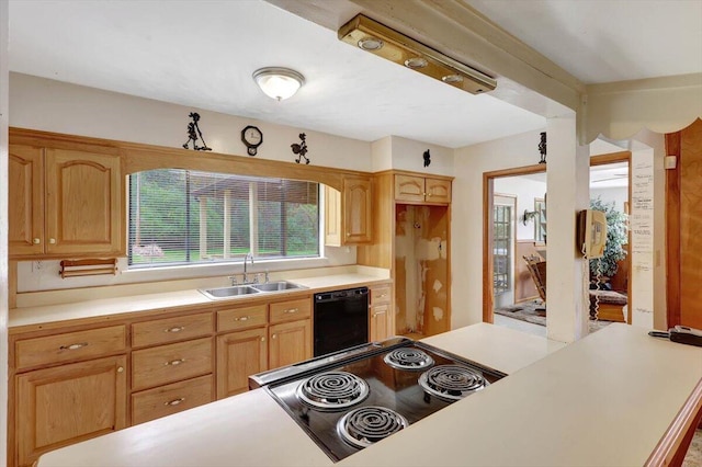 kitchen with black dishwasher and sink