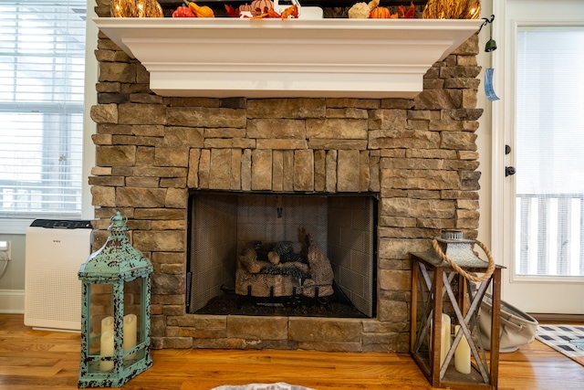 details featuring a fireplace and wood finished floors