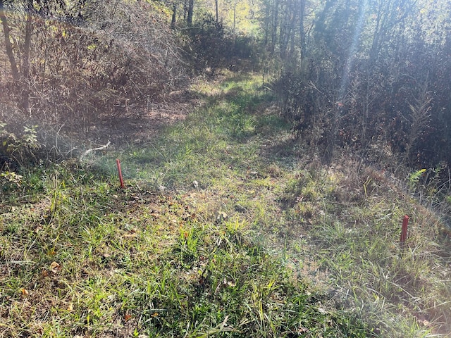 955 Long Island Rd, New Hope, TN 37380 - photo 2