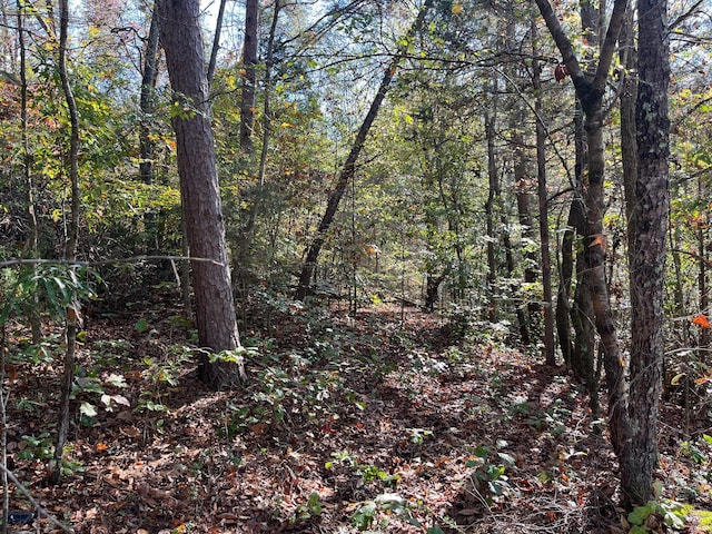 955 Long Island Rd, New Hope, TN 37380 - photo 1