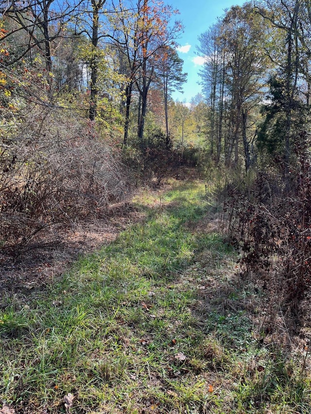 955 Long Island Rd, New Hope, TN 37380 - photo 3