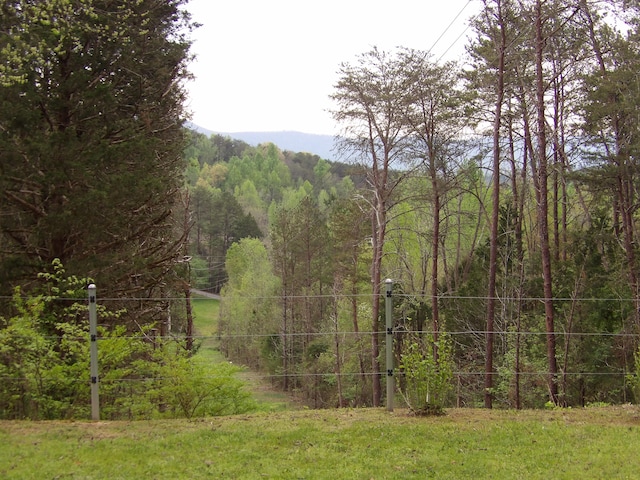 view of local wilderness