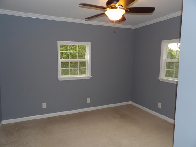 carpeted empty room featuring ceiling fan and crown molding