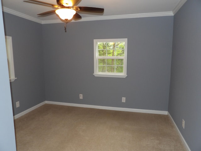 unfurnished room with crown molding, ceiling fan, and carpet