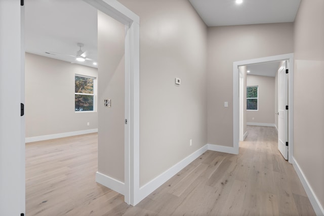 hallway with a wealth of natural light and light hardwood / wood-style floors