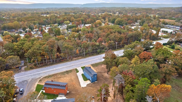 bird's eye view