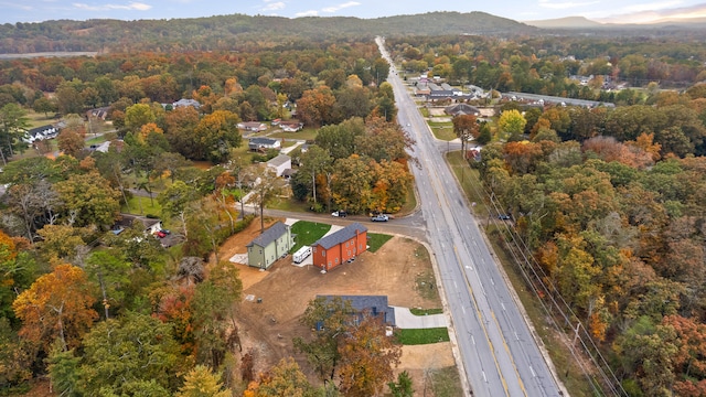 bird's eye view with a mountain view