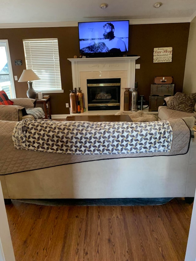 living room with wood-type flooring and crown molding