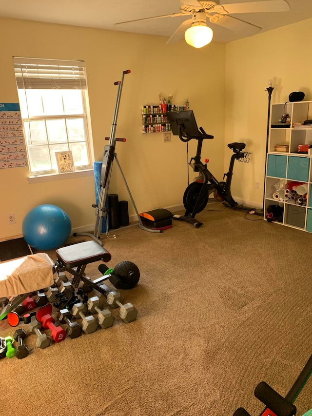 workout area featuring carpet and ceiling fan