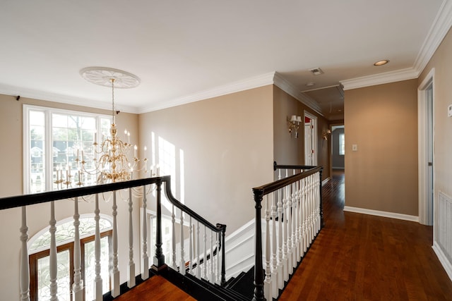 corridor with a notable chandelier, dark hardwood / wood-style floors, and ornamental molding