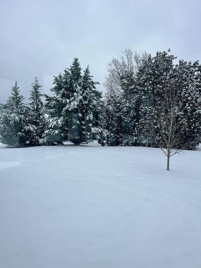 view of yard layered in snow