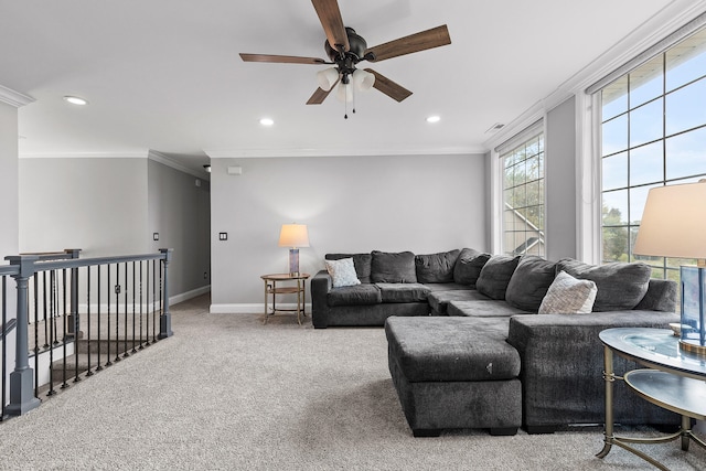 living room with ceiling fan, carpet, and ornamental molding