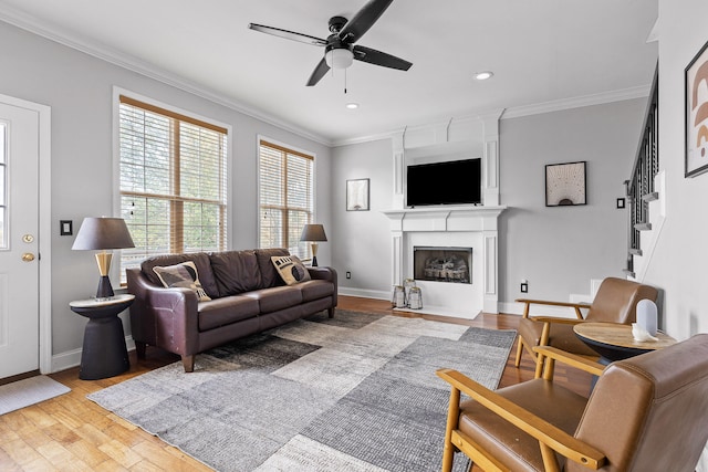 living room with light hardwood / wood-style floors, ceiling fan, and ornamental molding