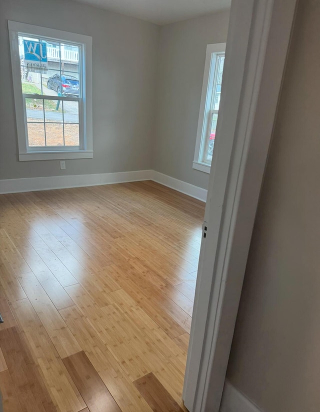 empty room featuring light wood-type flooring and a wealth of natural light