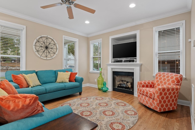 living room featuring ornamental molding, ceiling fan, and light hardwood / wood-style floors