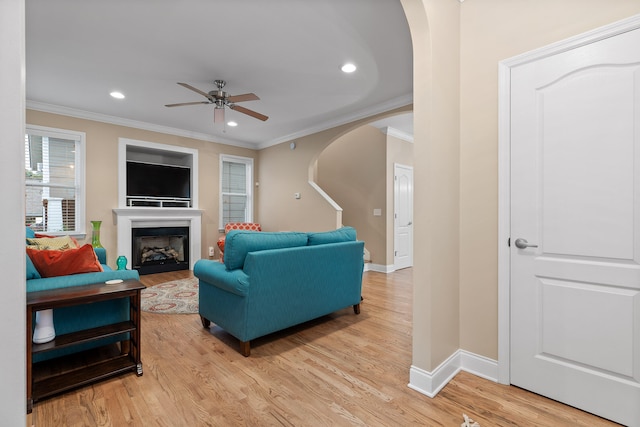 living room with ceiling fan, light hardwood / wood-style flooring, and crown molding