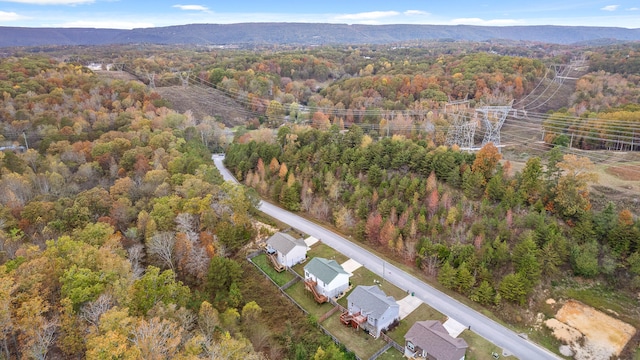 bird's eye view with a mountain view