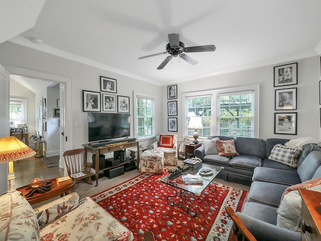 living room with wood-type flooring, ceiling fan, and crown molding