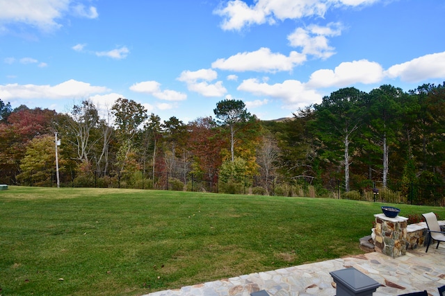 view of yard featuring a patio area