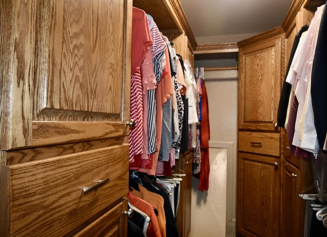 334 Belaire Dr, Copperhill, TN 37317 - view of walk in closet
