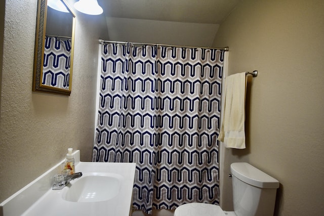334 Belaire Dr, Copperhill, TN 37317 - full bath with a sink, toilet, a textured wall, and a shower with shower curtain