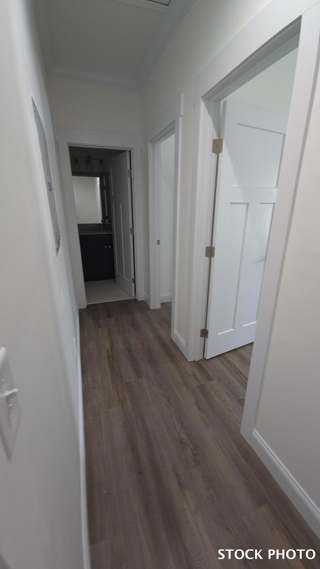 corridor with dark hardwood / wood-style floors and crown molding