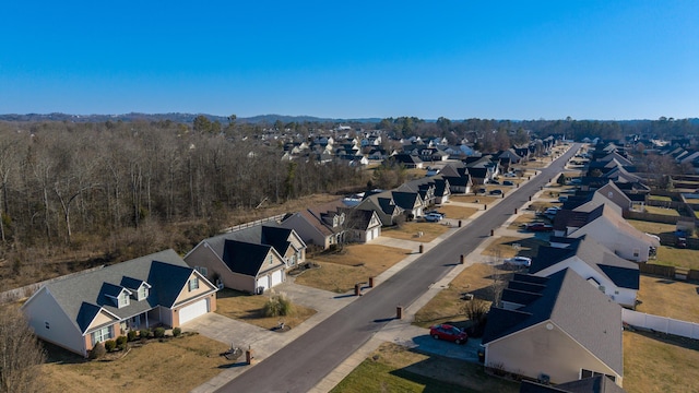 bird's eye view