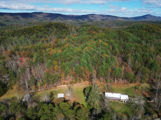 birds eye view of property with a mountain view