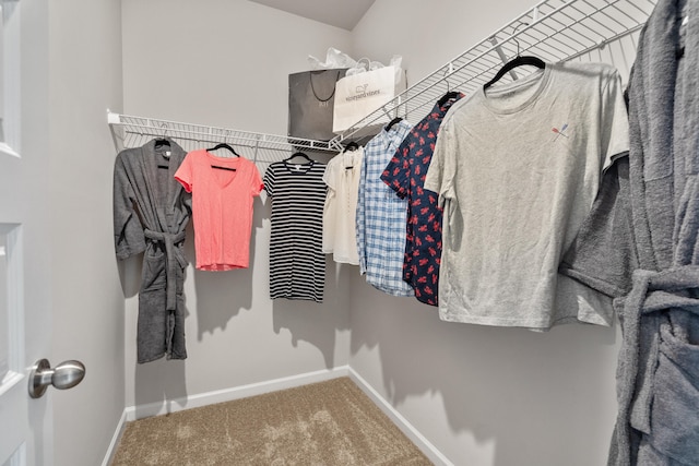 spacious closet with carpet floors