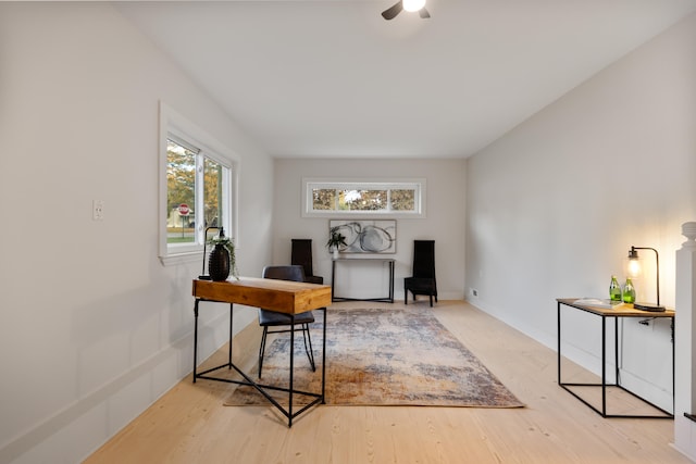 office with wood-type flooring