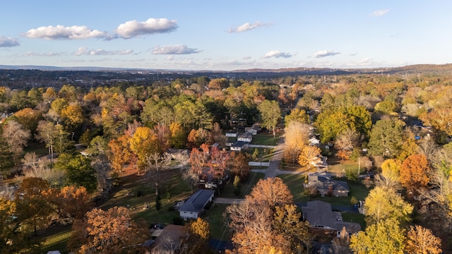 bird's eye view