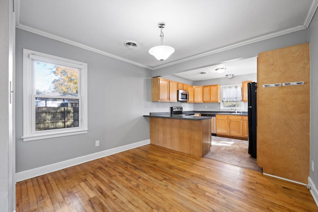 kitchen featuring light hardwood / wood-style flooring, kitchen peninsula, decorative light fixtures, appliances with stainless steel finishes, and ornamental molding