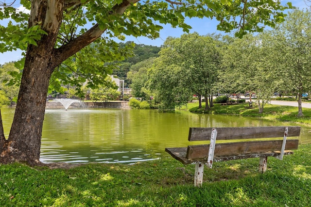 900 Mountain Creek Rd # K144, Chattanooga, TN 37405 - photo 29