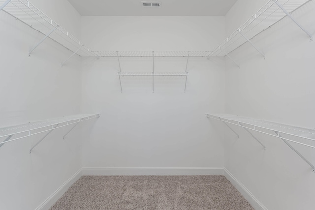 spacious closet with carpet floors