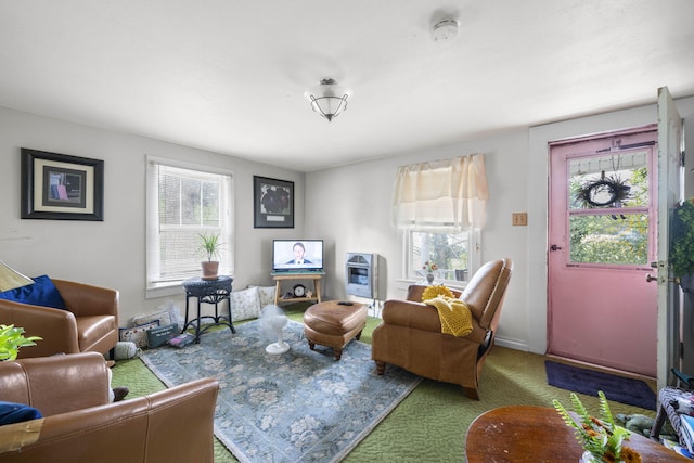 living room featuring carpet